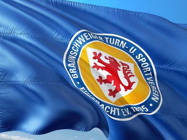 传统豪门 传统豪门