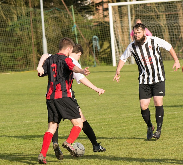 乔治娜逐步 乔治娜逐步