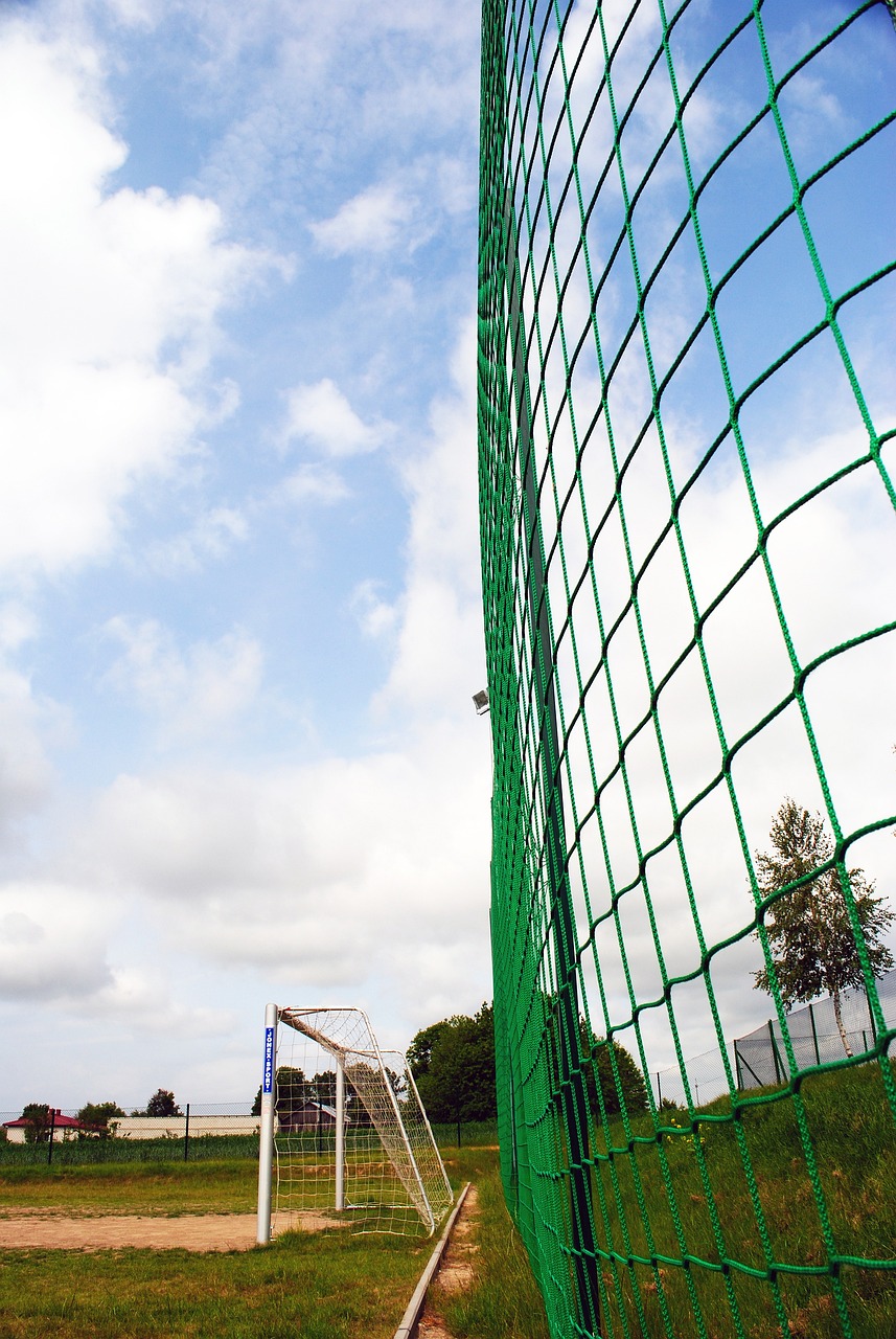 成长中发挥 成长中发挥