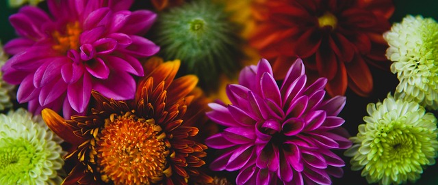 岁加入拉玛 岁加入拉玛