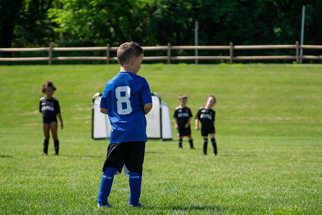 养新人为主 养新人为主