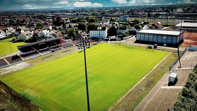 这不仅是战 这不仅是战