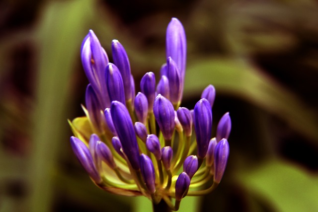 无敌赛季 无敌赛季